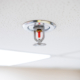 Choose Wisely: Key Types of Fire Protection Systems